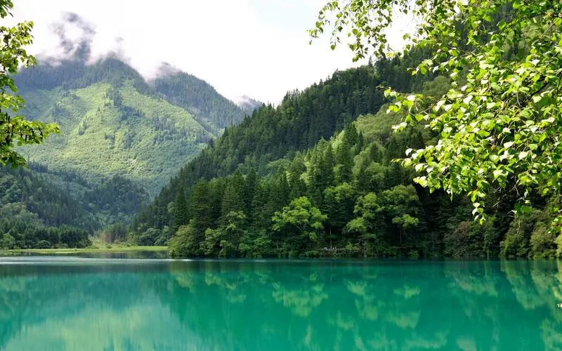 高端高性能